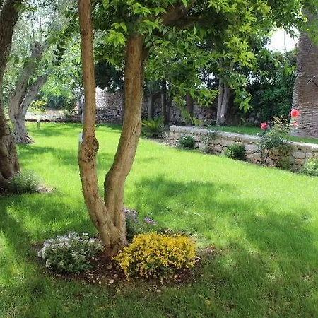Le Tre Palme Frigintini