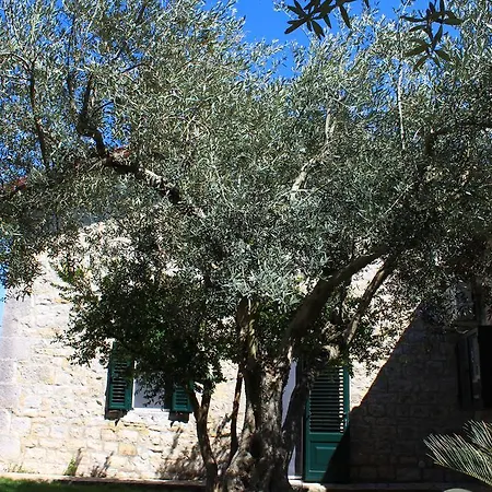 Le Tre Palme Apartment Frigintini