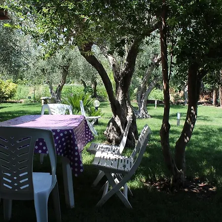 Apartment Le Tre Palme