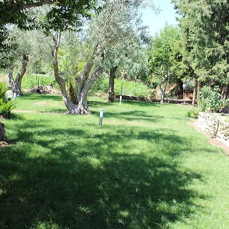 Le Tre Palme * Frigintini