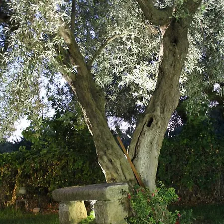 Le Tre Palme Apartment Frigintini